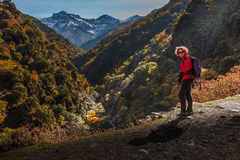 Visita Guiada Alpujarra